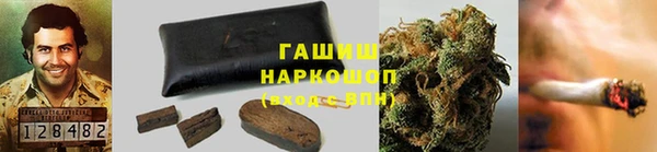 ПСИЛОЦИБИНОВЫЕ ГРИБЫ Аркадак