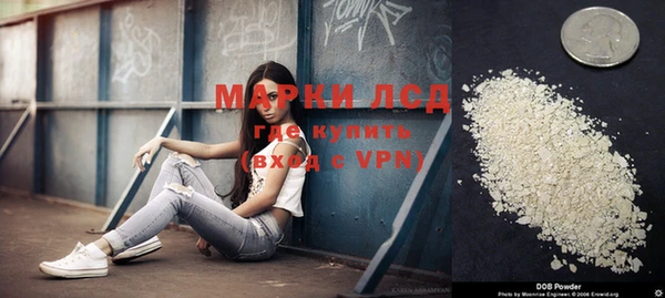 ПСИЛОЦИБИНОВЫЕ ГРИБЫ Аркадак