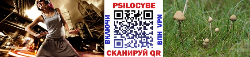 Галлюциногенные грибы мицелий  где купить наркотик  Светлый 